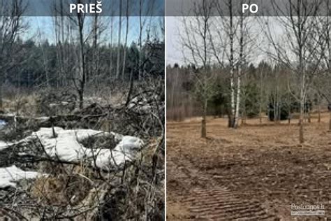 Darbų pavyzdžių galerija su prieš ir po nuotraukomis