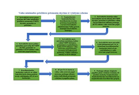 Odos priežiūros schema vizualiai: valymas, kondicionavimas, apsauga