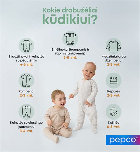 prieššaltinių priedų schemos ir jų veikimo principų infografika