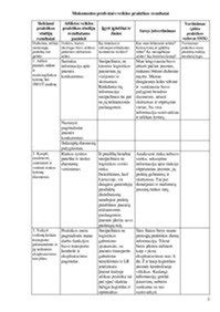 Profesinės praktikos ataskaitos struktūra ir pavyzdžiai