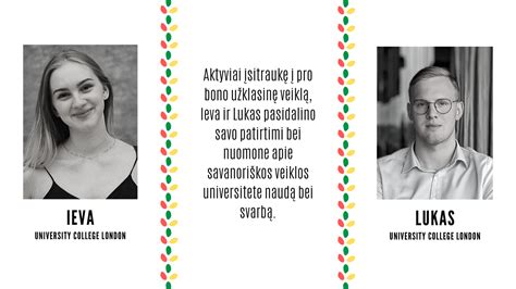 Informatyvi schema, rodanti UMEA AGRO siūlomų produktų kategorijas ir pagrindinius jų tipus.
