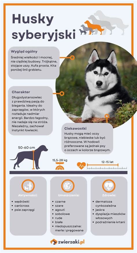 Infografika: Husky Espace techninės ypatybės