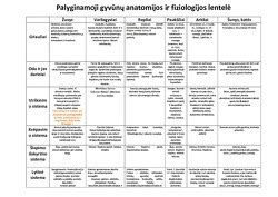 Vinių tipų palyginamoji lentelė