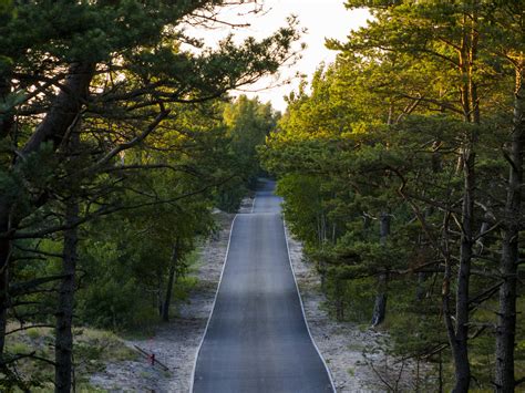 Dviračių takas Kuršių nerijoje