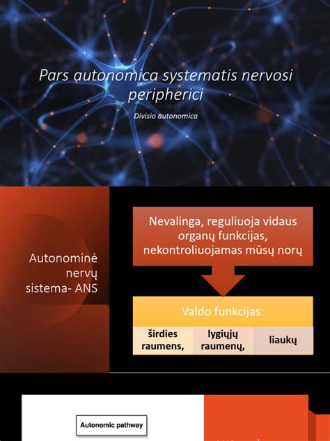 išmetimo sistemos dalis su matomais suodžių pėdsakais aplink pažeistą gofrą