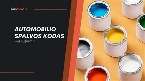 Infografika: Kaip rasti automobilio dažų kodą