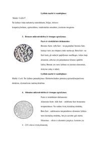 Vaizdinė medžiaga: diagrama, iliustruojanti skirtingus spalvotųjų metalų tipus ir jų panaudojimą.
