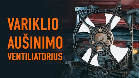 Variklio aušinimo ventiliatoriaus sparnuotės techninė schema ir montavimo vieta ant vismovos