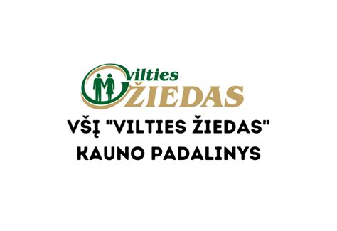 Schema, iliustruojanti VšĮ „Vilties žiedas“ veiklos kryptis ir teikiamas paslaugas