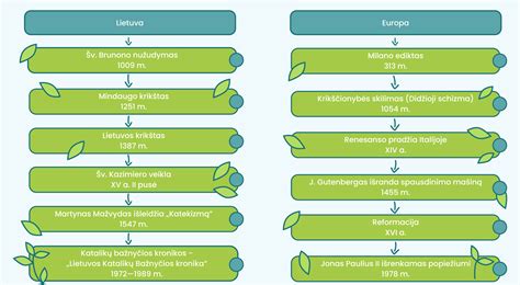 schema, iliustruojanti nutukimo paplitimą Europoje ir Lietuvoje lyginant su kitomis šalimis