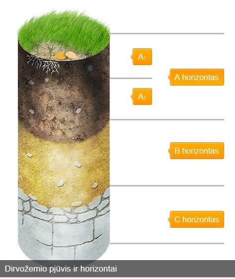 Dirvožemio sluoksnių schema
