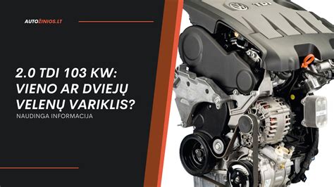 Infografika: pagrindinės 2.0 TDI B7 variklio silpnosios vietos ir priežiūros grafikas