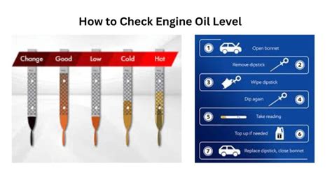 Infographic on how to check engine oil level