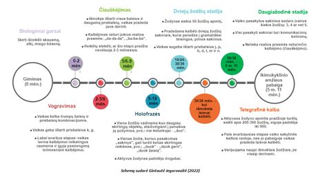 Infografika: mokymosi proceso etapai