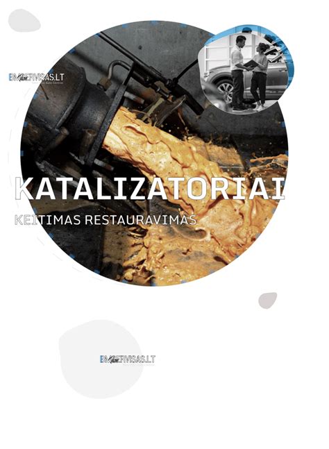 BMW katalizatoriaus schema ir jo restauravimo etapai