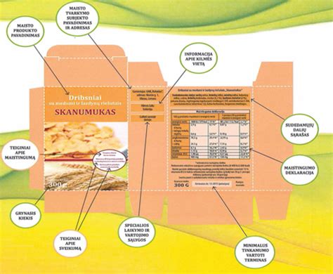 Infografika su preliminarios sąmatos sudėtinėmis dalimis ir paaiškinimais