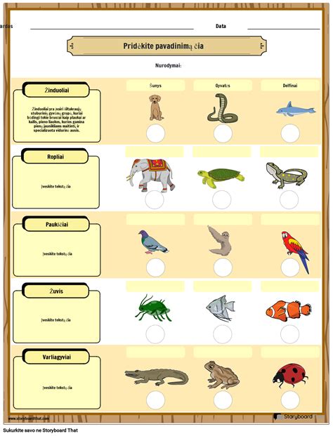Pavizdinė infografika: ES klasifikavimo schema