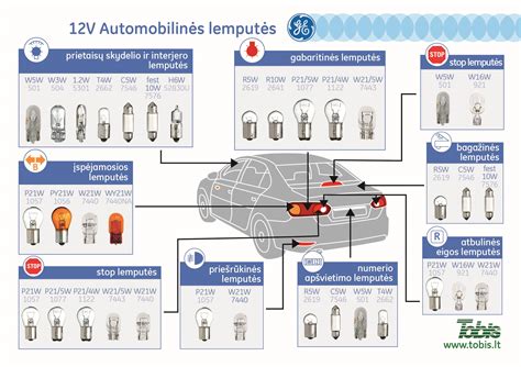 automobilio priekinių žibintų lempučių schema