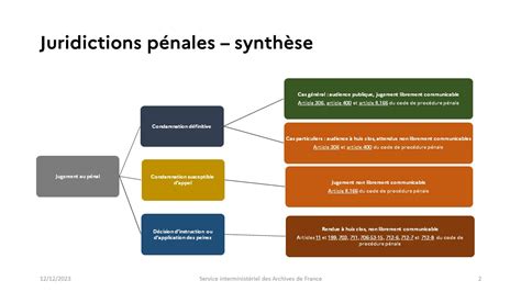 schema depicting the types of penal measures and their application
