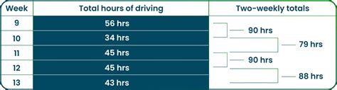Schemos iliustracija: Vairavimo ir poilsio laiko grafikas (Daily/Weekly Driving and Rest Time Schedule)