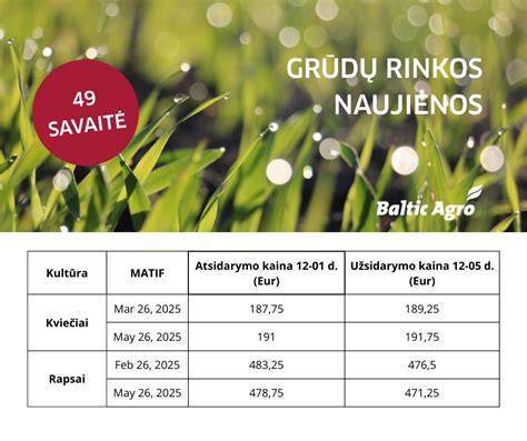 Infografika: Sankryžos planas ir eismo srautai (bazė: projekto duomenys 2023-2024)