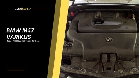 Schema: skirtumai tarp BMW M47 ir N47 dyzelinių variklių konstrukcijos