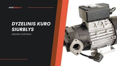 Infografika: kuro sistemos komponentai ir jų ryšiai