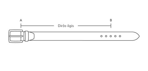 Diržo įtempėjo schema