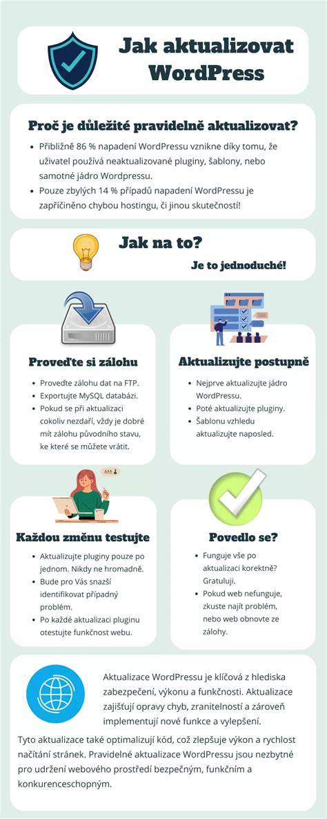 Infografika: SF rekvizitų schema