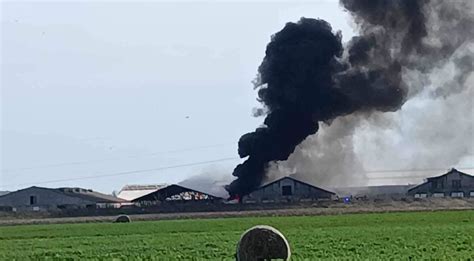 Tematinė nuotrauka: senų padangų krūva