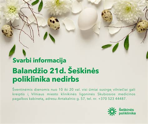 Svarbiausių nuomos sąlygų sąrašas infografikos pavidalu