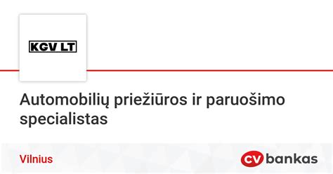 Nuotrauka: Automobilių priežiūros specialistas