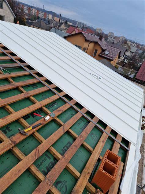 El. stogo patikros plano vizualizacija