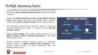 Duomenų bazės ir istorijos ataskaitų pavyzdys