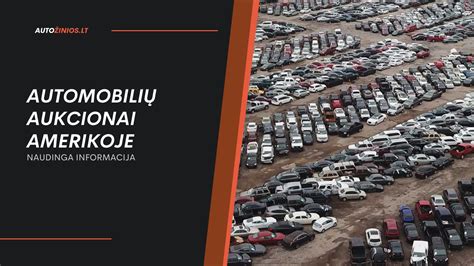 Infografika: Pagrindiniai JAV automobilių aukcionai ir jų specializacijos