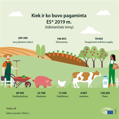 Infografika, iliustruojanti ekologinių grūdų supirkimo procesą nuo ūkio iki sandėlio.