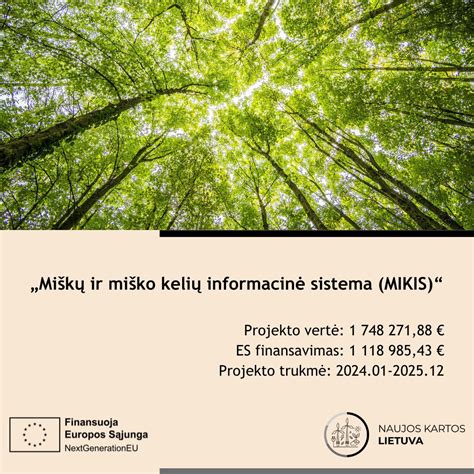 Infografika: miško kelių tipai ir paskirtis