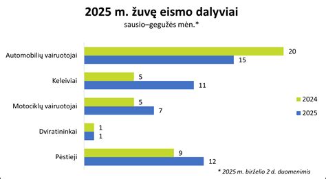 Infografika, vaizduojanti pagrindines eismo įvykių priežastis (greičio viršijimas, išvažiavimas į priešpriešinę eismo juostą, neatidumas)