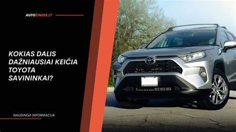 Infografika: dalys, kurias dažniausiai keičia Grand Vitara savininkai