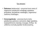 Schema: rūdžių šalinimo procesas