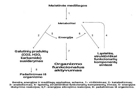 Paskirstymo veleno riebokšlio matmenų schema ir medžiagų žymėjimai