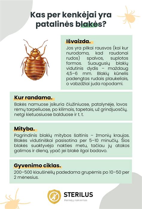 Infografika su dažniausiais valytuvų gedimais ir jų priežastimis