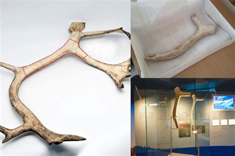 Nuotrauka: archeologinis radinys - bronzinis durklas