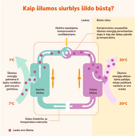 Diagrama: skirtingi siurblių tipai ir jų taikymo sritis
