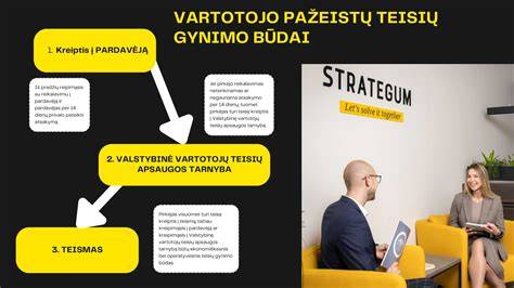 Infografika: Pirkėjo teisių gynimo būdai įsigijus naudotą transporto priemonę
