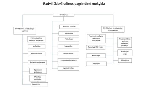 Schema: transporto įmonės registracijos procesas Lenkijoje