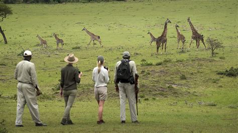 Visureigių safaris su GPS orientavimosi taškais
