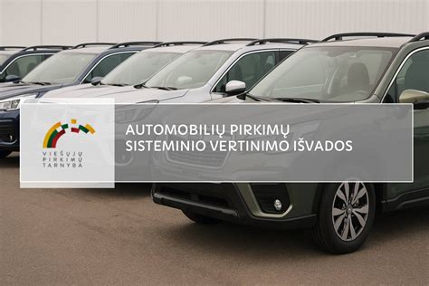 Tarnybos vertinimo išvados santrauka