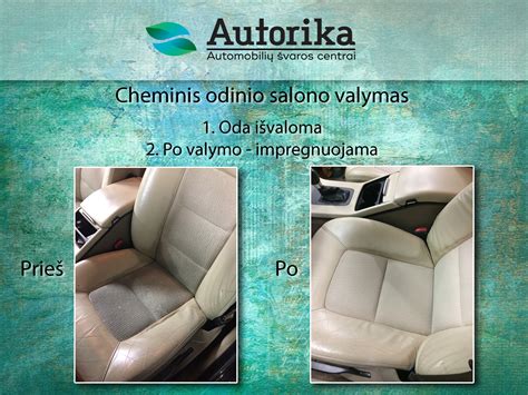Vilkiko salono cheminis valymas
