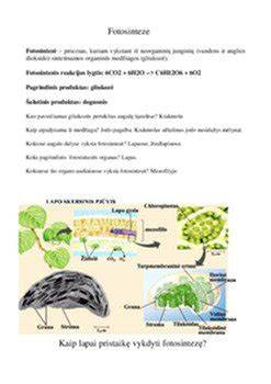 Ozonavimo proceso schema